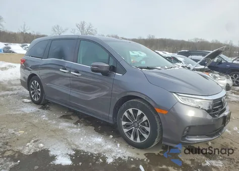 2024 Honda Odyssey Exl z USA, uszkodzony, nr VIN 5FNRL6H66RB007396